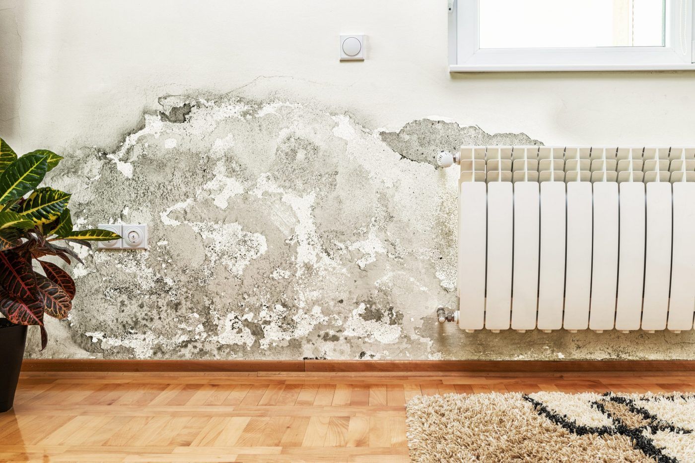 Damp in UK properties - types, causes and solutions